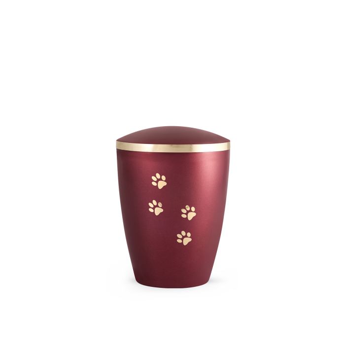 Edition Elegance - perlmutt weinrot – Bild 2