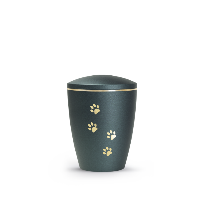 Edition Patas de oro - velvet petrol