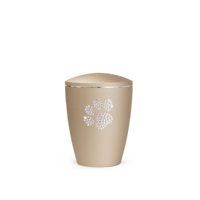 Edition Elegance - velvet champagner
