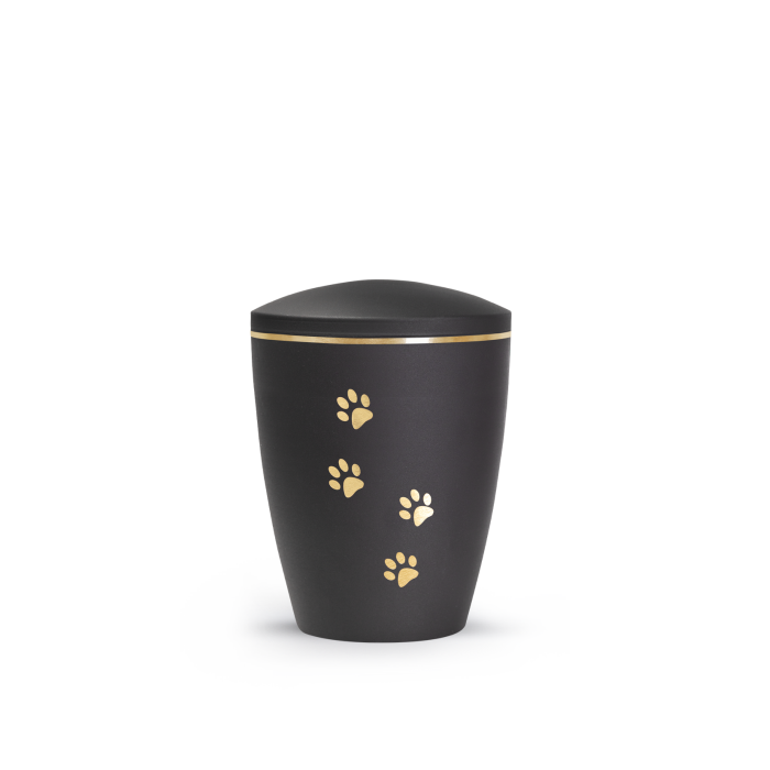 Edition Patas de oro - velvet schwarz