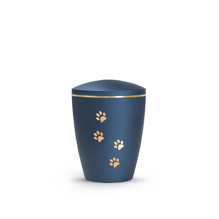 Edition Patas de oro - velvet navy