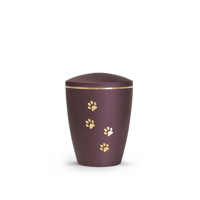 Edition Patas de oro - velvet berry