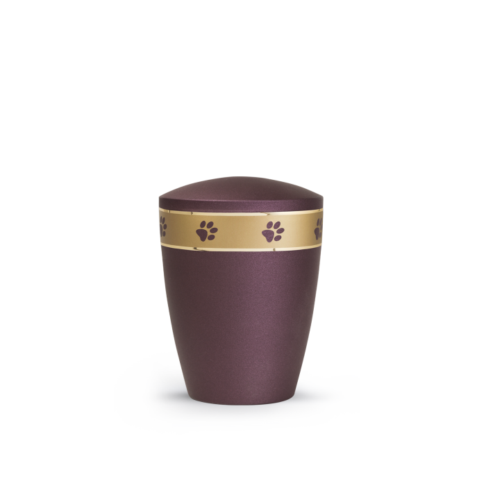 Edition Patas de oro - velvet berry