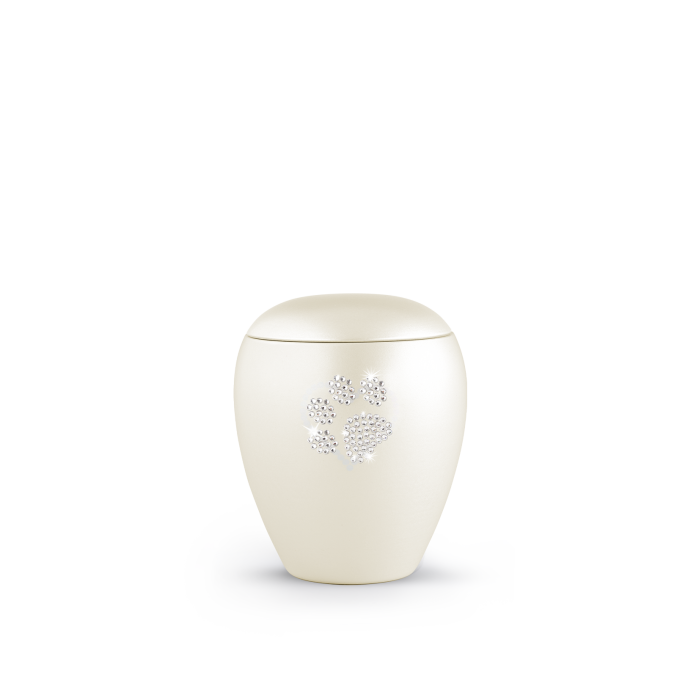 Edition Crystal - perlmutt champagner