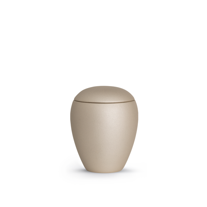 Edition Verona - velvet champagner
