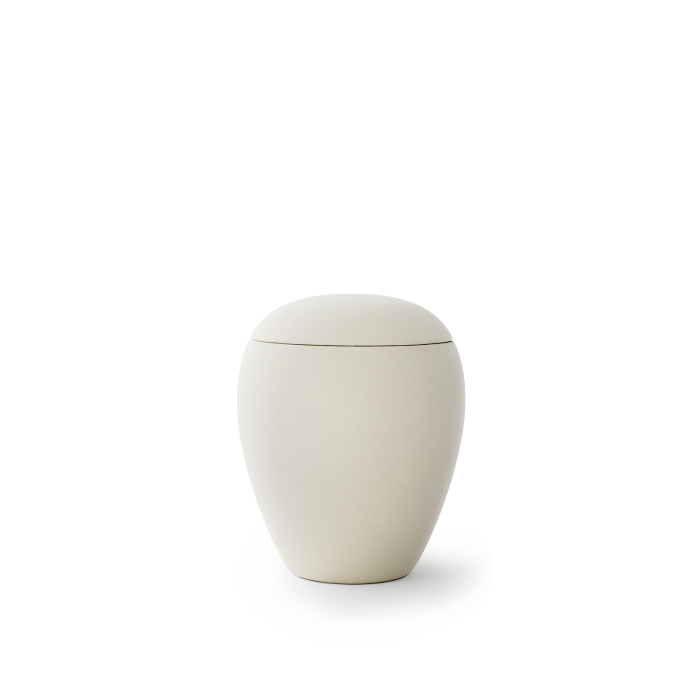 Edition Siena - Samtton creme